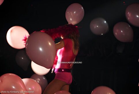 confessions on a g-a-y dance floor 2005