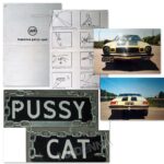 Madonna Pussy Cat License plates YORIN (2)