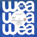 Like a Virgin South Africa vinyl company sleeve