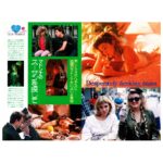 Desperately Seeking Susan Magazine 1985 Japan