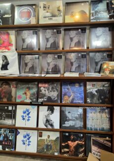 Veronica Electronica Launch Concerto 2025